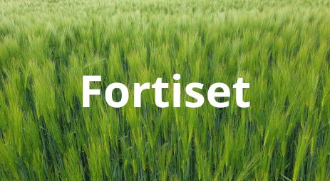 FertiExport Fortiset